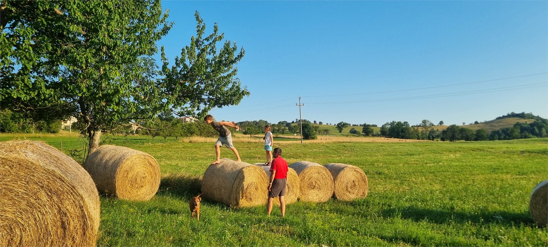 Utrinek z Banjšic, fotografija 4
